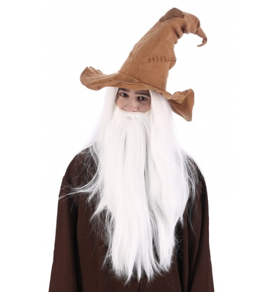 Hut Magier oder Hexe